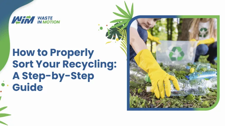How to Properly Sort Your Recycling