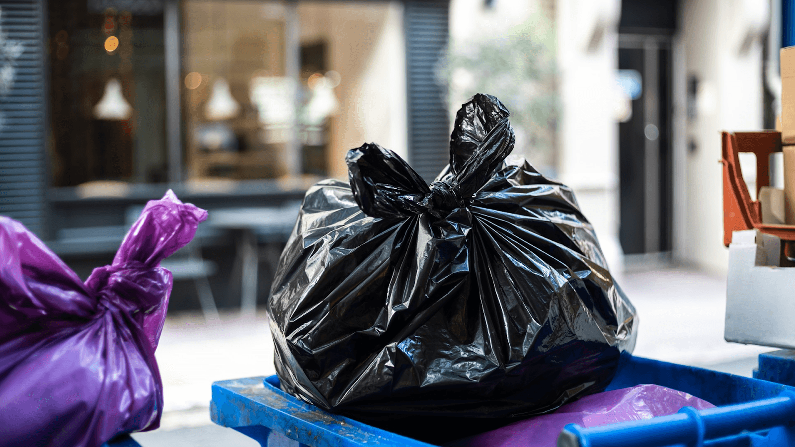 Why Waste Costs Are a Concern For Businesses