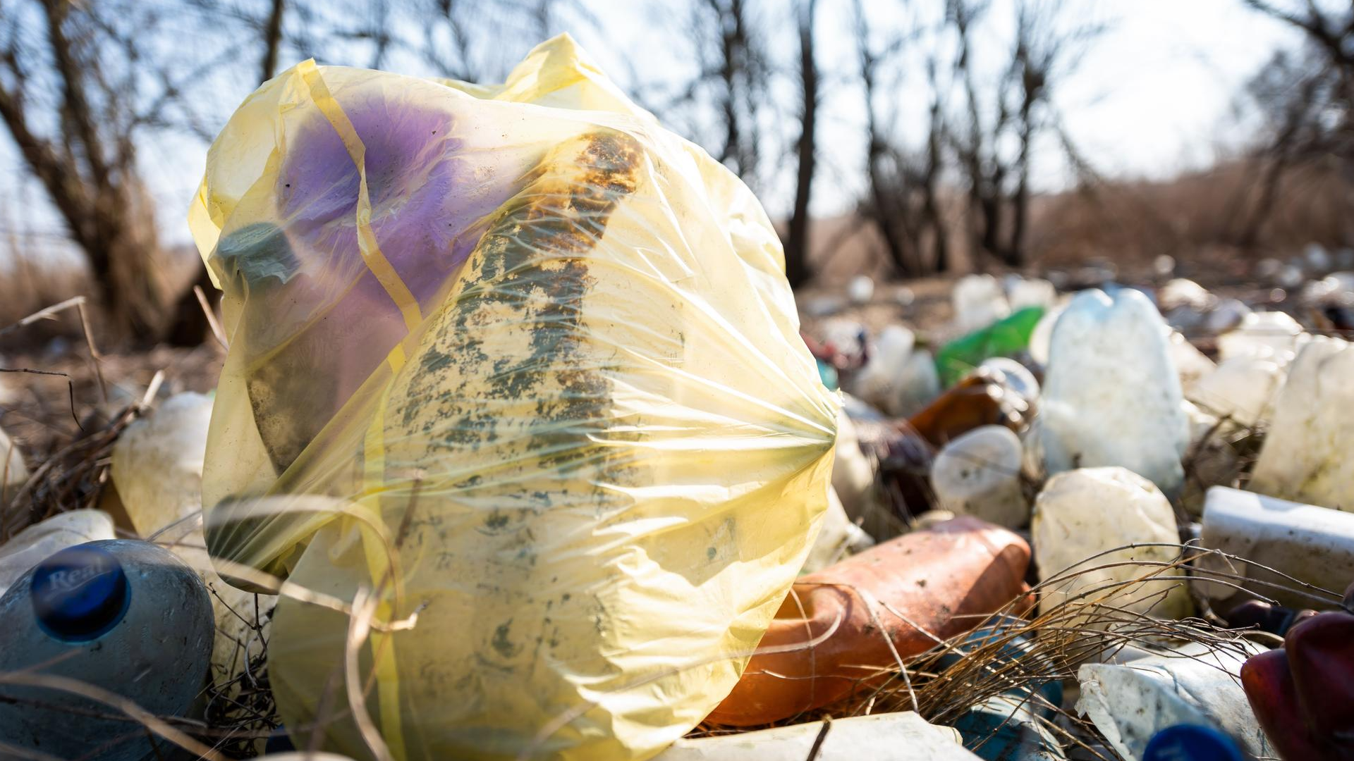 Trash In Plastic Bag