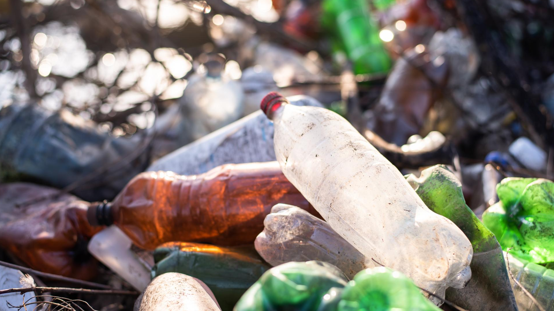 Plastic Bottle Waste