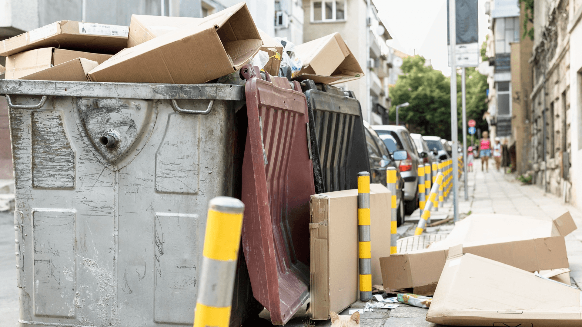 Bin Size No Longer Matches Your Waste Volume